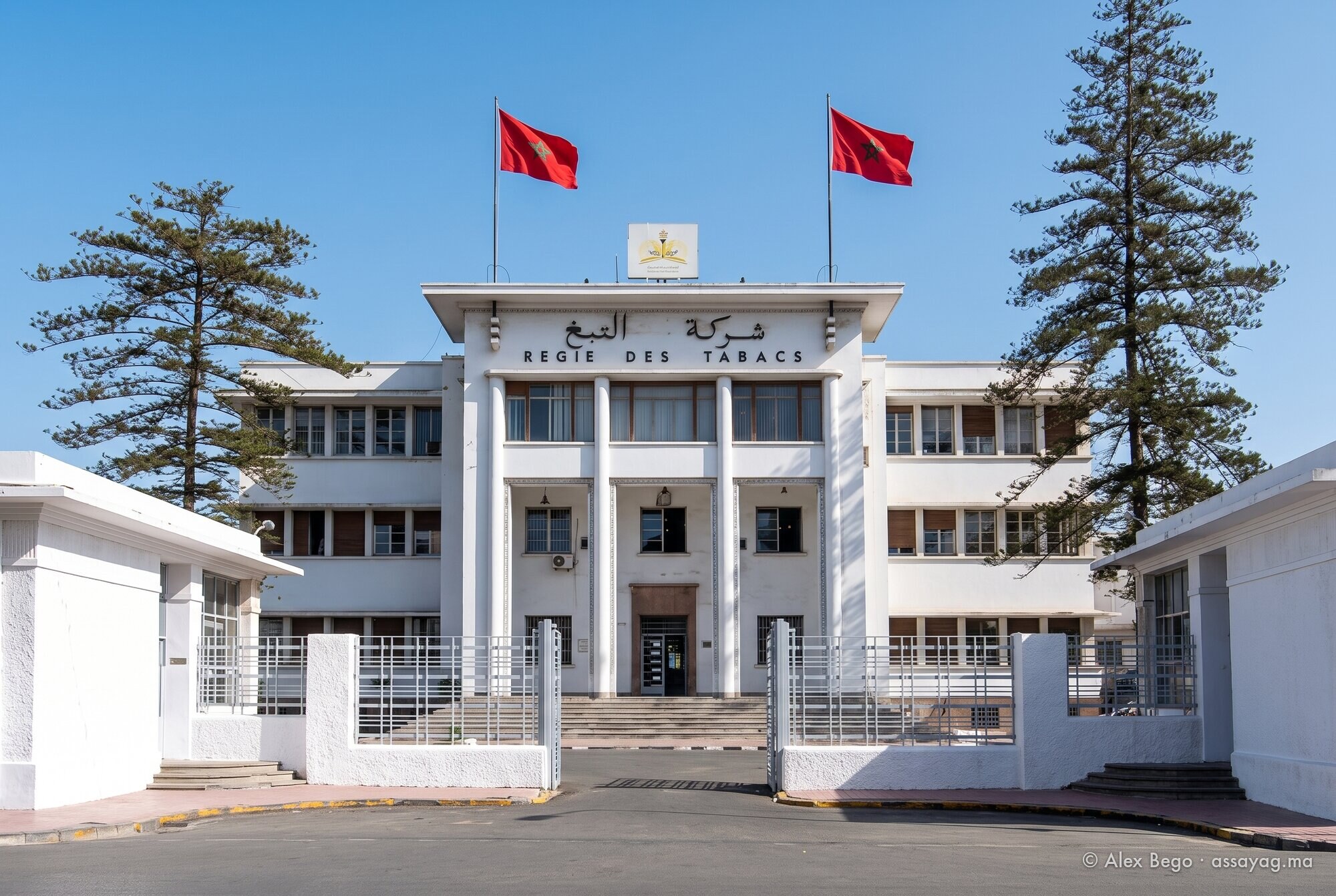 Bâtiment blanc de la Régie des tabacs à Casablanca : portique à colonnes carrées surmonté d'inscriptions en arabe et en français, deux drapeaux marocains, deux grands pins